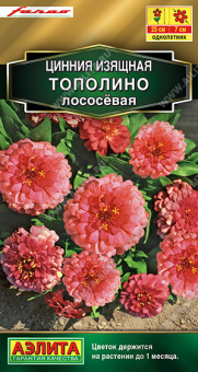 Снимок экрана 2025-08-01 133910