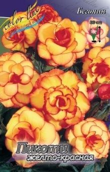 00036171_Бегония Пикоти желтая-красная 5шт (КолорЛ