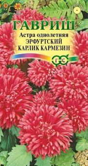 00009135_Астра Эрфуртский Карлик Кармезин (Гавриш)