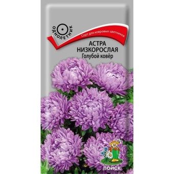 00033912_Астра Голубой ковер низкорослая 0,2г (ПОИ
