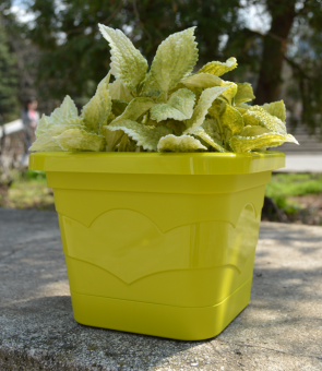 00042929_Валенсия квадрат горшок с поддоном 2,9л d