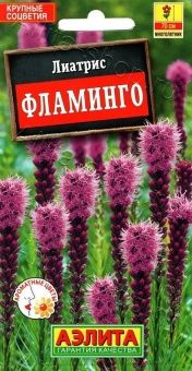 00040821_Лиатрис Фламинго (Аэлита)