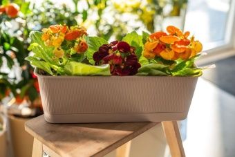 00033552_Ящик балконный Прованс с поддоном 6л длин