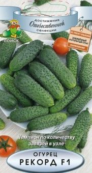 00021293_Огурец Рекорд F1 12шт (ПОИСК)