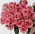 Роза Пинк Экспрешн чайно-гибридная (Барнаул)