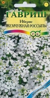 00009483_Иберис Жемчужная россыпь зонтичный (Гаври