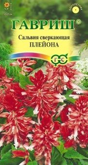00010083_Сальвия Плейона (Гавриш) 1_1000