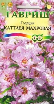 00009469_Годеция Каттлея  махровая (Гавриш) 11000