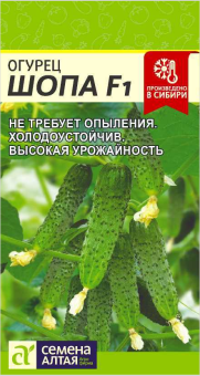 Снимок