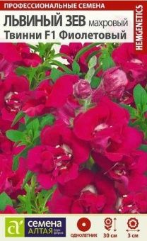 00041425_Львиный зев Твинни Фиолетовый Махровый 10