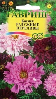 00008332_Космея Радужные переливы махровый (Гавриш