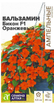 Снимок экрана 2026-07-31 091926