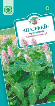 Шалфей Мускатный Вознесенский (Гавриш) 1800