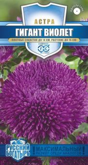 00024949_Астра Гигант Виолет 0,1г серия Русский бо