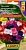 Петуния Мамбо F1 смесь окрасок многоцветковая (Аэлита)