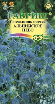 Синеголовник Альпийское небо (Гавриш)