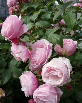 20220526_015349-813x1024