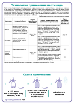 Снимок