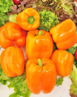 Перец Гренада (НК)