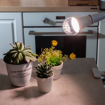 Лампа светодиодная для растений LED-A60-10W прозрачная арт.UL-00007404 (ПрЭн)