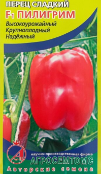 00011093_Перец Пилигрим (Агросемтомс)