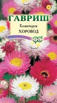 00013652_Гелиптерум розовый Хоровод (Гавриш)