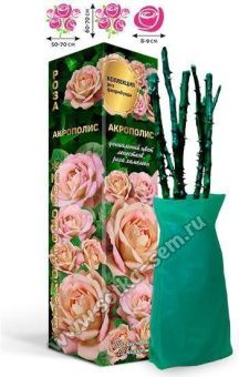 56jxYZcqlo5Nx45tQrf2