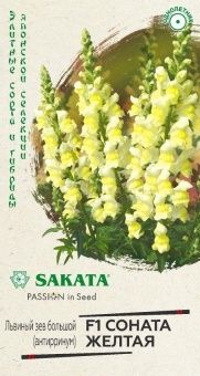 00040872_Львиный зев Соната желтая 10 шт Саката се