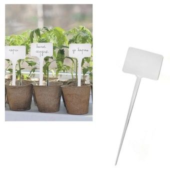 00003247_Указатель садовода 20см 1_50 (К)