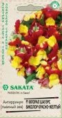 Львиный зев Флорал Шауэрс Биколор красно-желтый 7 шт Саката (Гавриш)