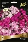 Флокс Попурри метельчатый (ПОИСК)