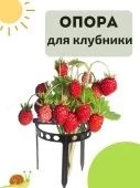 Опора для ягодных Клубника 10шт 1/40  (К-А)
