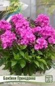 ФЛОКС БАМБИНИ ПРИМАДОННА 1шт (КолорЛайн)
