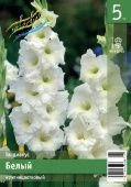 Гладиолус Белый 10шт (КолорЛайн)