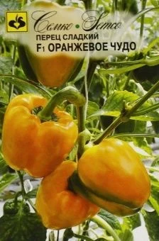 00031097_Перец Оранжевое Чудо F1 5шт (Семко)