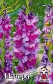 Гладиолус ПЕЧОРА 8шт (КолорЛайн)