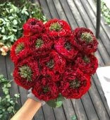 Роза Ред Ай чайно-гибридная (Золотая сотка Алтая)