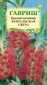 Краснотычинник Бенгальская свеча (Гавриш)