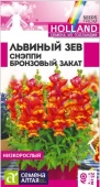 Львиный зев Снэппи Бронзовый закат 7шт Голландия (Сем Алт)