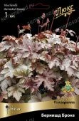 Гейхерелла Бернишд Бронз (ПОИСК)