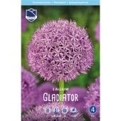 Аллиум Гладиатор 1шт (А)