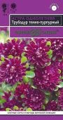 Астра Трубадур темно-пурпурный 0,05г (Гавриш)