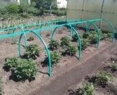 Парник МИНИ каркас для ягод 1x4м (ПКомплект)