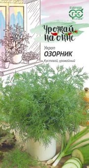 00007230_Укроп Озорник серия Урожай на окне (Гавриш) 1_1000