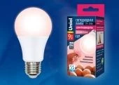 Лампа светодиодная диммируемая для птиц LED-A60-9W для яйценоскости (ПрЭн)