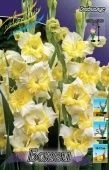 Гладиолус Багги 10шт (КолорЛайн)