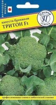 brokoli_triton