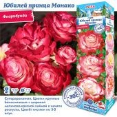 Роза Юбилей принца Монако флорибунда (Сиб сад)