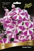 Флокс Кэнди Твист метельчатый 1шт (ПОИСК)