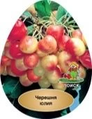 Черешня Юлия (в коробке)  (ПОИСК)